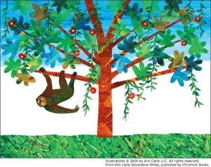 sloth-in-tree